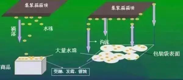 集裝箱里進水，誰的錯？如何預防應對？